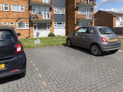 Picture 22